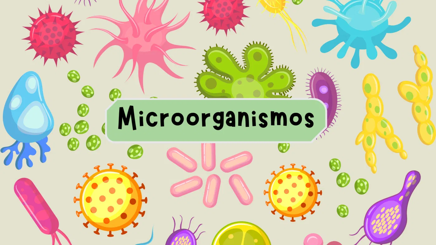 MICROORGANISMOS